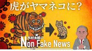 「どう猛な虎からヤマネコに変わった」新型コロナウイルスはワクチンを待たずに消滅か