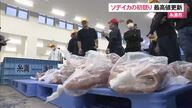ソデイカのセリ始まる初日の水揚げは約4トン　セリ値は最高値更新