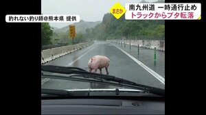 高速道路にまさかの動物が・・【熊本】