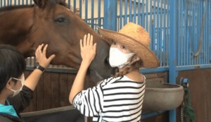 牧場経営のためロンドンから那須へ移住…紗栄子が新たなビジネスで見せた経営者の顔