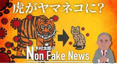 「どう猛な虎からヤマネコに変わった」新型コロナウイルスはワクチンを待たずに消滅か