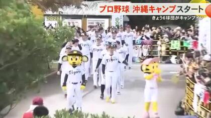 プロ野球沖縄キャンプ　2月1日は６球団がキャンプイン