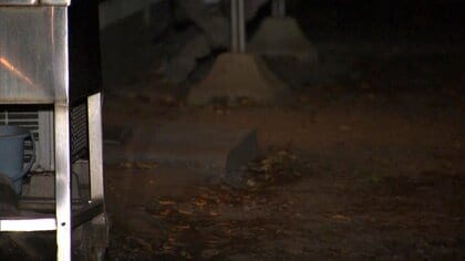 「玄関開けたらクマ…夫がかじられた」クマに襲われ69歳男性ケガ　体長1メートル…手で振り払うと逃走　群馬・沼田市