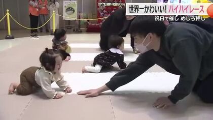 3メートル先にママとパパが　泣いたり止まったり…かわいいハプニング続出！赤ちゃんハイハイレース　福井