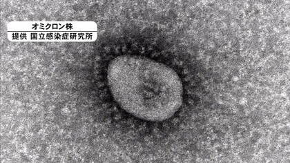 速報 新型コロナ 熊本県内新たに２１３６人の感染確認 Fnnプライムオンライン