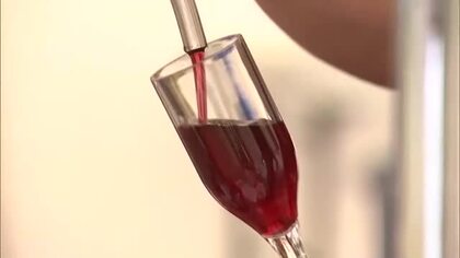 恒例「葡萄酒まつり」始まる　安心院ワインや県産牛ステーキに舌鼓　大分