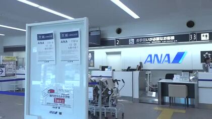 エアバスの機体整備でANAは富山・羽田便と札幌便6便を欠航　30日も一部で欠航の可能性