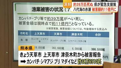 八代海の赤潮被害額が約１１億円に　熊本県が緊急支援策を発表