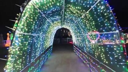 「温かな光でほっこり」住民の手作りイルミネーション試験点灯　広島・福山市