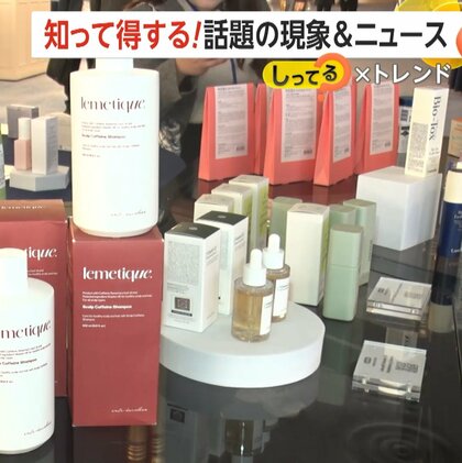 【解説】韓流は“ヨンから3へ”…ヨン様世代から親子3世代で楽しめるブームへ　“東京韓流博覧会”に4万人…商談会では韓国企業が熱烈売り込み