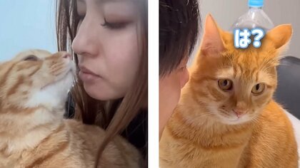ママには「チューしたい」でもパパには「むり」と困惑顔？飼い猫の態度が露骨すぎる…最初からこんなに違ったのか聞いた