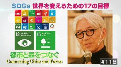 豊かな自然を残したい。音楽家・坂本龍一が続ける森林保全活動