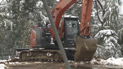 動物園が変わる！ アフリカの自然に近い環境でシマウマやゾウを