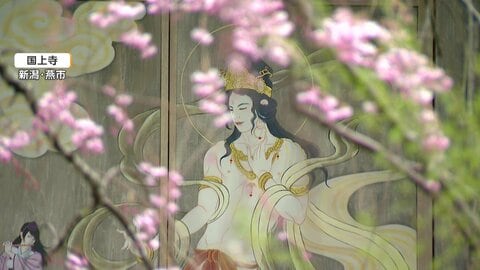 「イケメン絵巻」18年ぶり御開帳で第2弾公開、新潟・燕市の国上寺　第1弾は設置許可おりず撤去へ