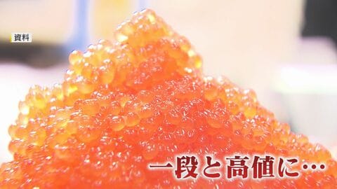 「こんな値段見たことない」 物価高に喘ぐ年末… 正月用食材の価格 博多雑煮に欠かせないブリは？カツオ菜は？【福岡発】