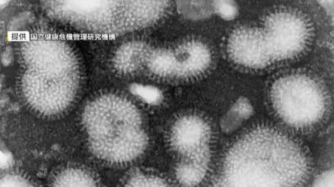 【速報】インフルエンザ感染者数が11週連続増加…前の週の2倍以上に