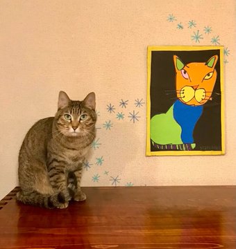 息子さんのネコの絵とモデルのネコ・おもち