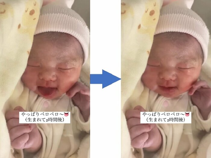 たくさんペロペロしていたそう