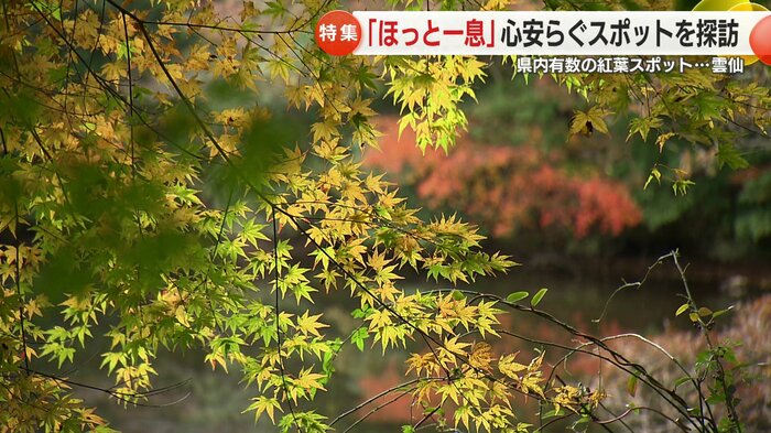 紅葉は12月上旬まで