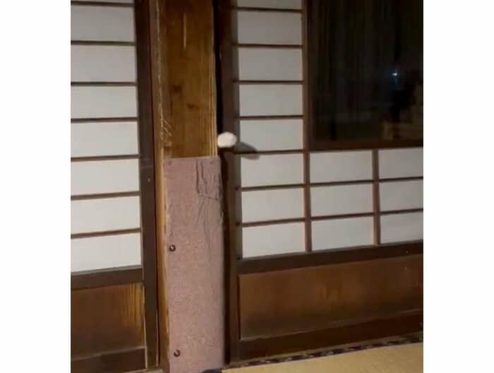 手招きする白い“手”(提供:いのうえもんぺさん)