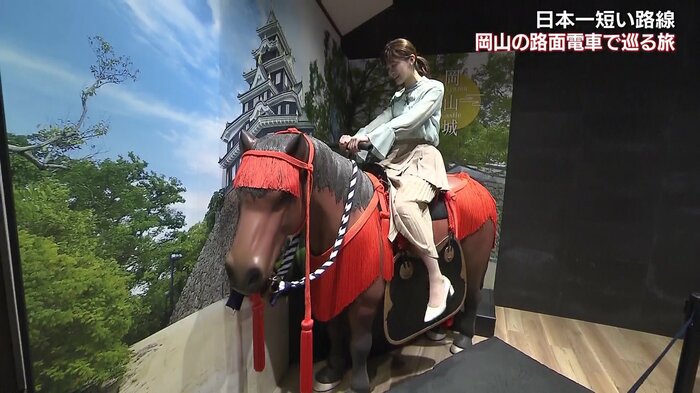 現代より体が小さかったという戦国時代の馬に乗ることができる