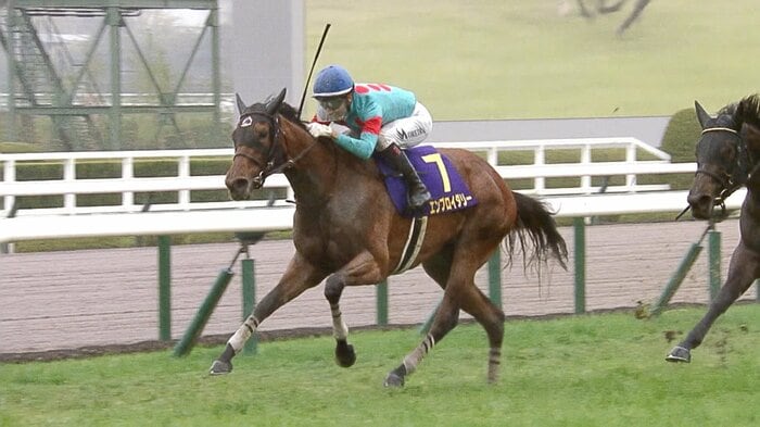 2冠牝馬エンブロイダリー