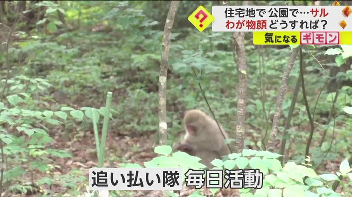 毎日活動を行うという