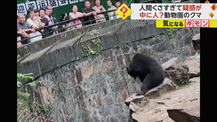 その場に腰を下ろすクマ