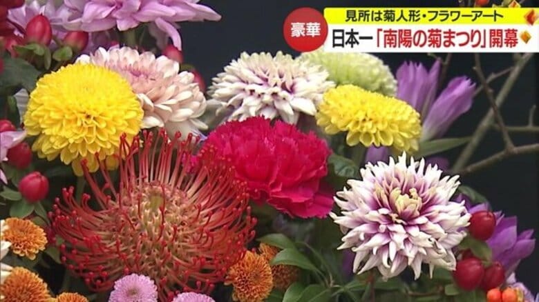 111回目「南陽の菊まつり」日本一の歴史と伝統…菊人形とフラワーアートが彩る【山形発】｜FNNプライムオンライン
