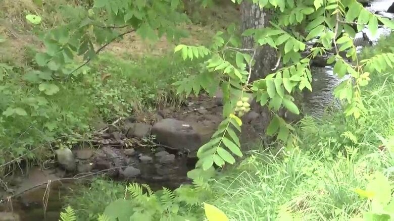 体長1.3mのクマを駆除、高齢女性が襲われ死亡した現場付近…「同一個体」の可能性高くＤＮＡ鑑定で確認へ　付近では駆除されたクマ以外にも出没相次ぎ警戒続く【岩手発】｜FNNプライムオンライン