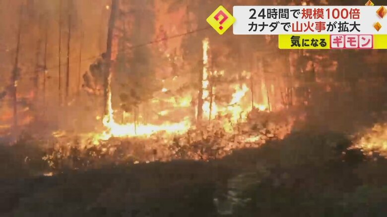 【山火事が相次ぐ】カナダ全土で1000件以上…西部で非常事態宣言　スペイン“大西洋のハワイ”で1万人超避難｜FNNプライムオンライン
