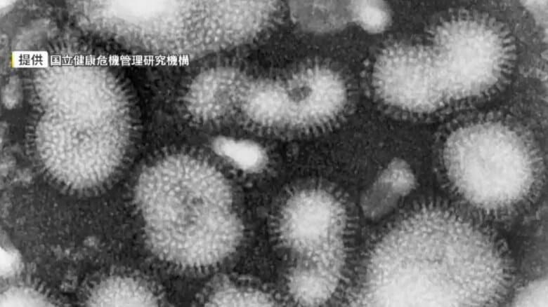 インフルエンザ流行広がる　感染者急増し前週の2倍超に　小中学校で学級閉鎖など相次ぐ　手洗いや換気など徹底呼びかけ　福岡｜FNNプライムオンライン