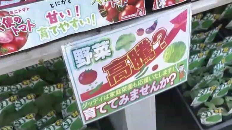 5月も続く“物価高騰”　家計を助ける「家庭菜園」が人気　トマト・ピーマン・キュウリ・ナスの苗が売れ行き好調｜FNNプライムオンライン