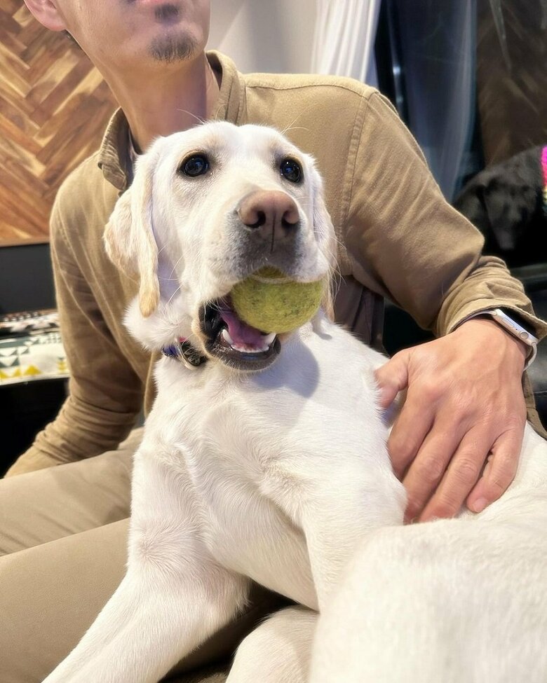 ボールをくわえながらテレビ鑑賞中