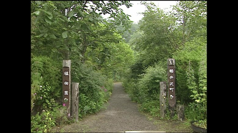 軽井沢町植物園1