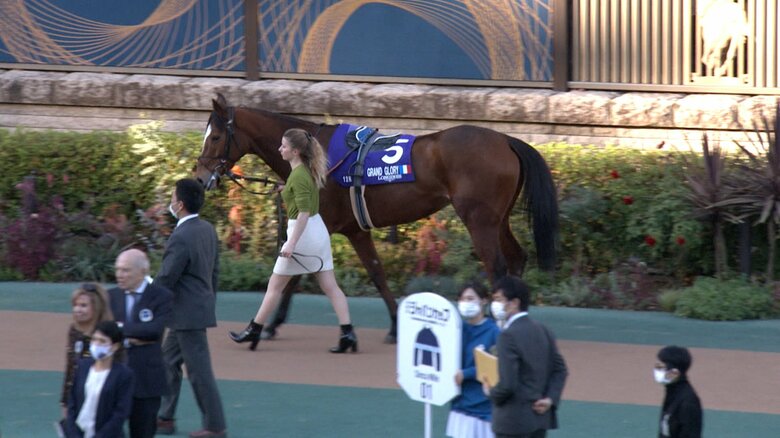 2022年のパドックの様子