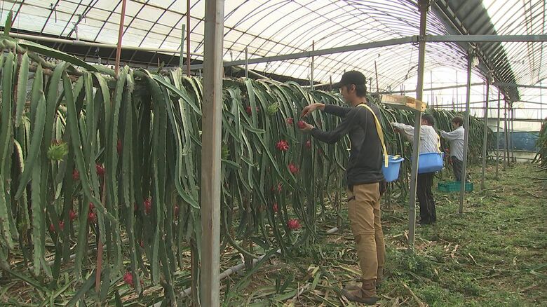 木戸農園