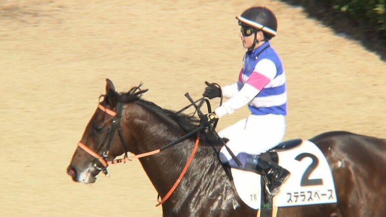 去年の3歳1勝クラスを制したステラスペース