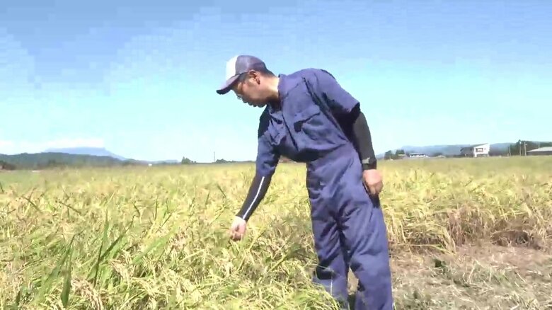 直接コメを仕入れる契約を結んだ農家・佐藤和典さん