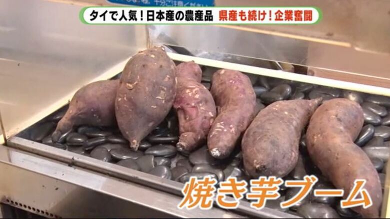 焼き芋ブームでサツマイモの輸出額は5倍に