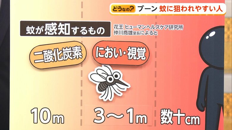 3～1メートル、においや視覚で「人」を確認