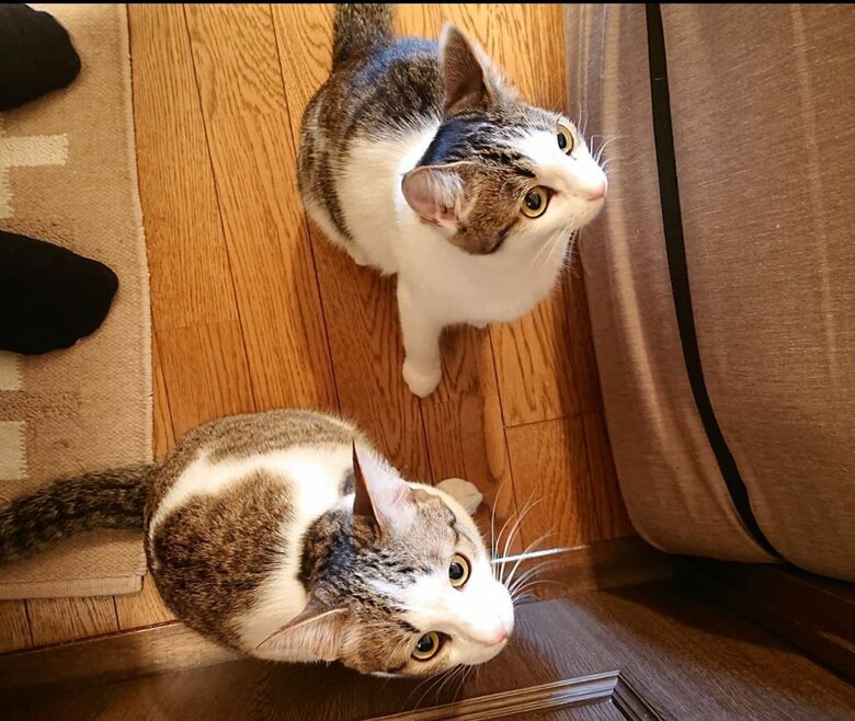 ドアが開くのを待つことも（提供：Iha Aさん）