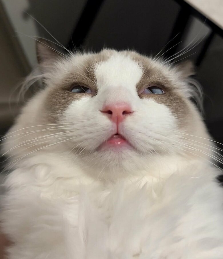 眠気と闘い中？