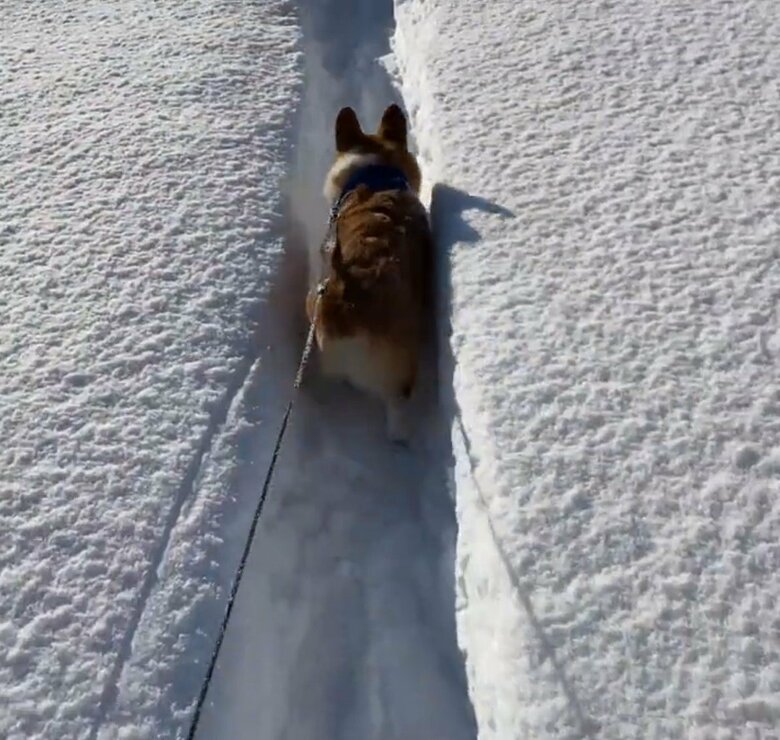 道の入り口まで進んでいく（提供：むぎん家＠きよらさん）