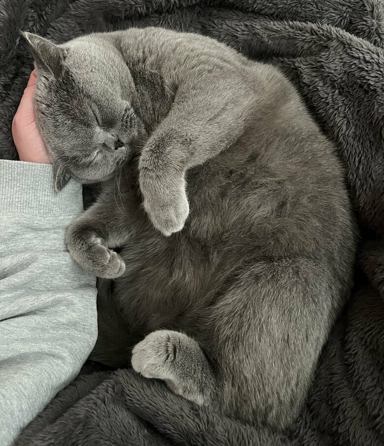 寝るときはくっついていたい