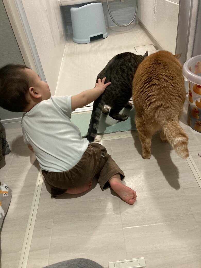 提供：かぎしっぽすず&つむぎさん