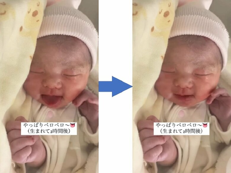 たくさんペロペロしていたそう