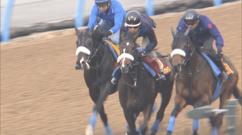 サークルオブライフ