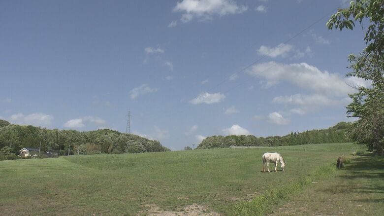 江津市の「うま牧場Lerai（れらい）」