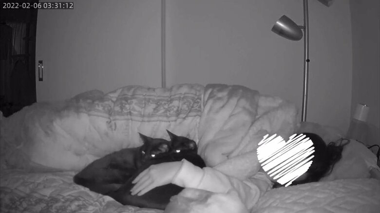 寄り添って眠ることも